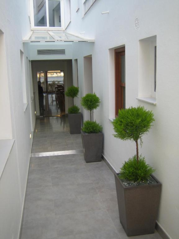 Hostal La Palma Fornells  Εξωτερικό φωτογραφία